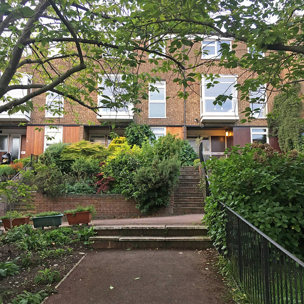 Central steps. Central steps.